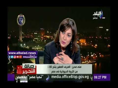 صدى البلد |«الزراعة»: القطاع الريفي ينتج 300 مليون طائر سنويا