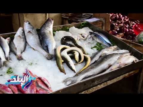 صدى البلد | تعرف علي اسعار الاسماك بالاسواق اليوم