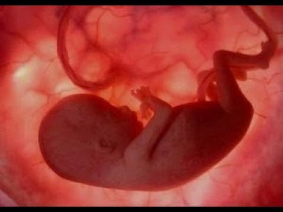 صدى البلد | 13 معلومة تضمن لك نجاح الحمل وسلامة الجنين