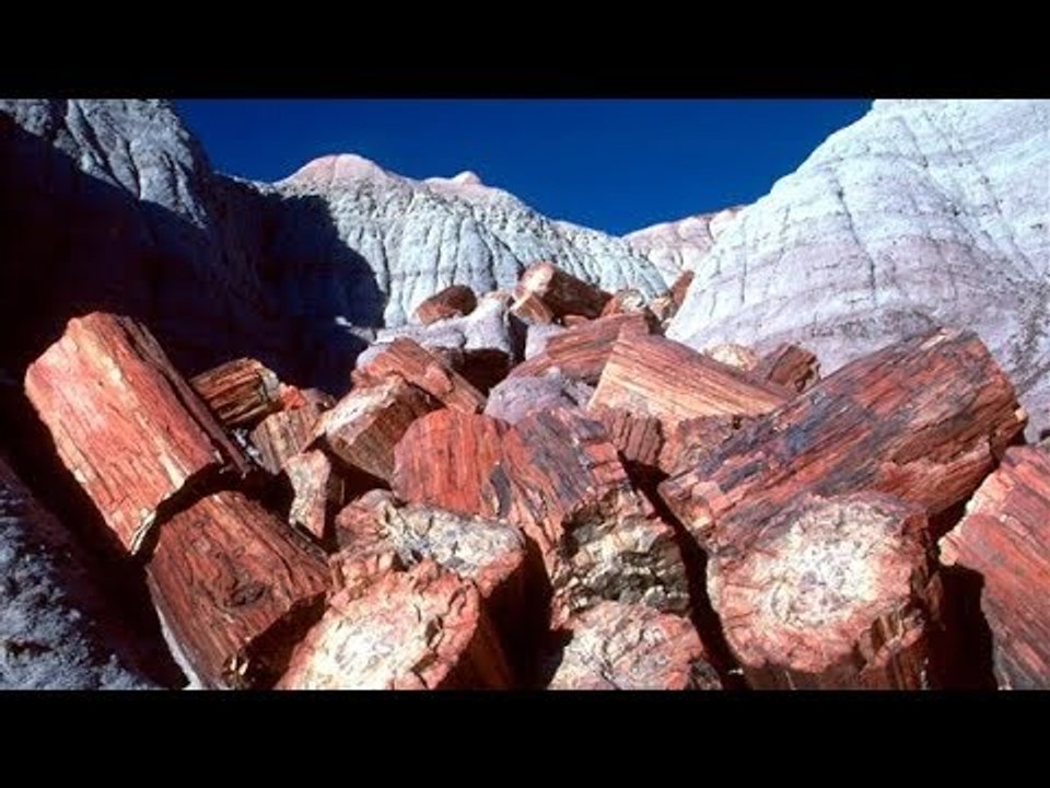 صدى البلد | وزير البيئة يفتتح  محمية طبيعية اليوم