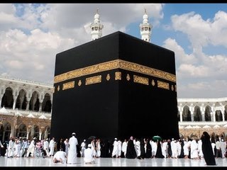 صدى البلد | كسوة الكعبة داخل الجناح السعودى بمعرض القاهرة الدولي للكتاب