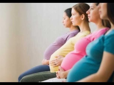 صدى البلد | أكرم العدوى : ٤٠% هي النسبة الطبيعية لحدوث الحمل في السنة الاولى