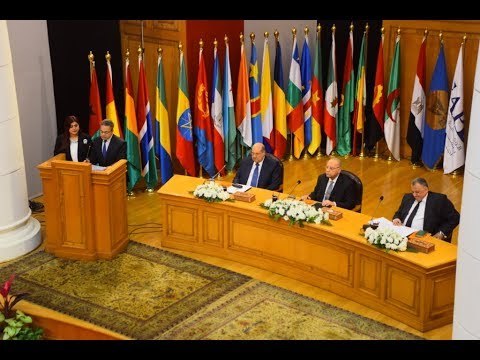 صدى البلد | رئيس الدستورية: مصر تسعى للانطلاق لمستقبل واعد مع الأشقاء العرب