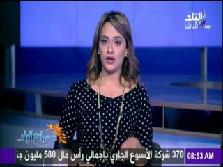 صباح البلد - «الإستقلال التخريبي» .. بقلم: عمرو الخياط