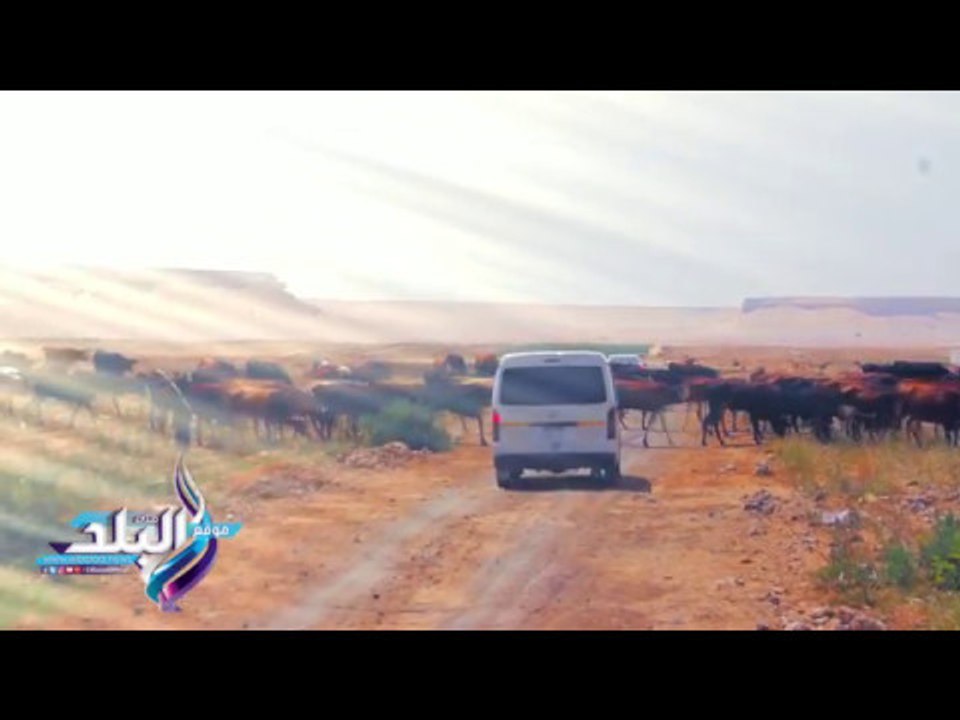 صدى البلد |  انتظرونا غدا فى مغامرة صدى البلد للكشف عن اسرارا التنقيب عن الاثار فى جبال المنيا