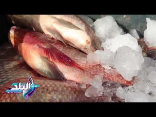 صدى البلد | اسعار الاسماك بالاسواق اليوم و السبب في ارتفاع سعرها
