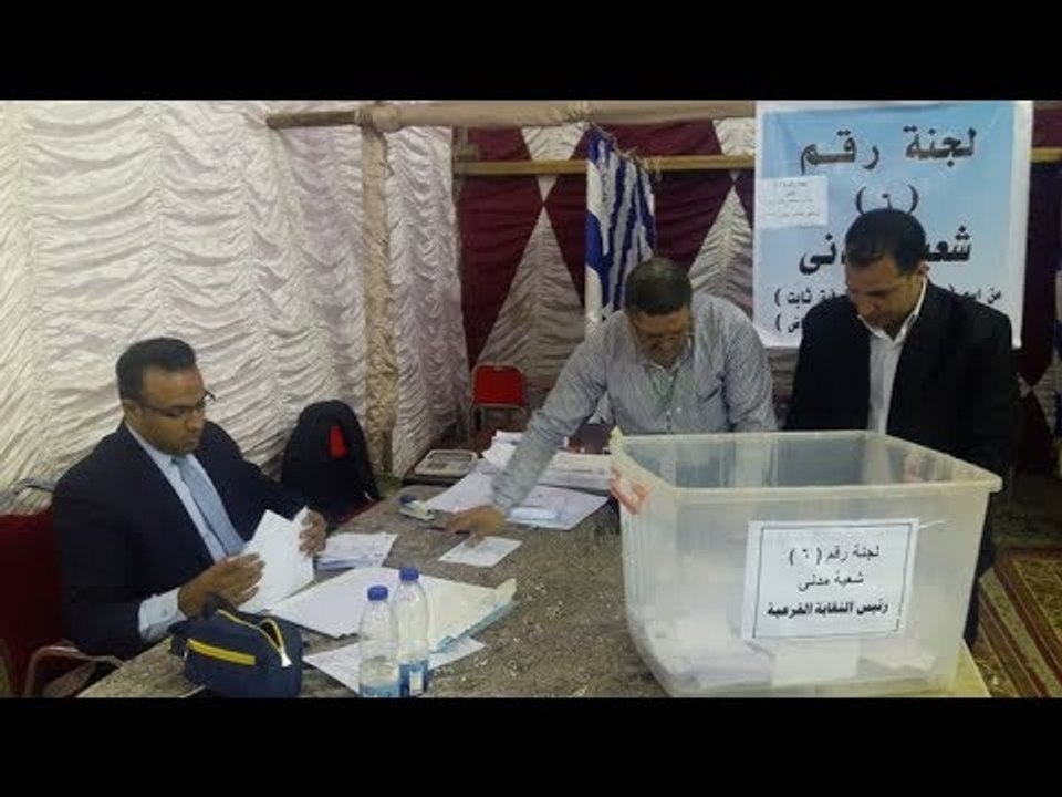 صدى البلد |  بدء أعمال الفرز بانتخابات المهندسين في أسيوط.