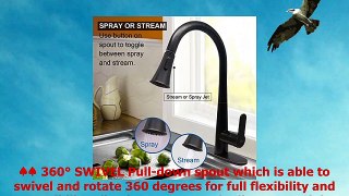 RAINMAX Kitchen sink faucet with Single Handle Oil Rubbed Bronze HighArch Dual Function