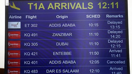 Flugzeugabsturz mit zahlreichen Toten in Äthiopien