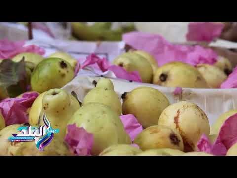 صدى البلد | اسعار الفاكهه بالاسواق اليوم