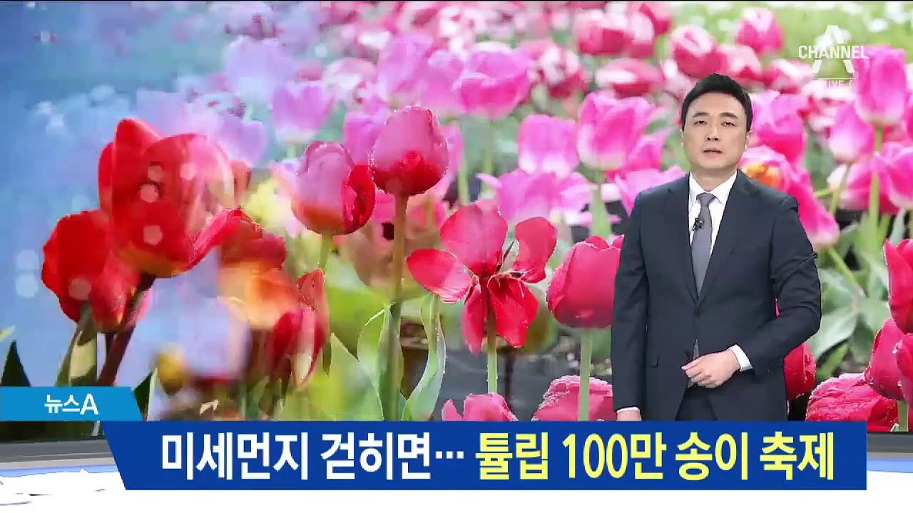 미세먼지 걷히면 손님 맞을 준비…튤립 100만 송이 축제
