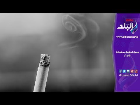 صدى البلد | مصادرة 14800 علبة سجائر مجهولة المصدر بالفرافرة