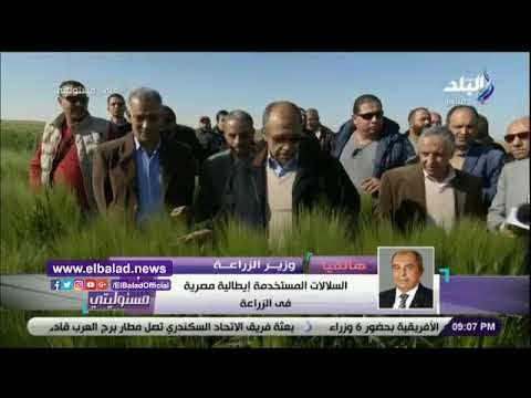 صدى البلد | أبو ستيت: 12 صوبة زراعية بمشروع غرب المنيا معتمدة على مياه الآبار