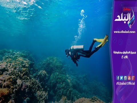 صدي البلد | مغامر يغوص 30 مترا دون أكسجين في مصر