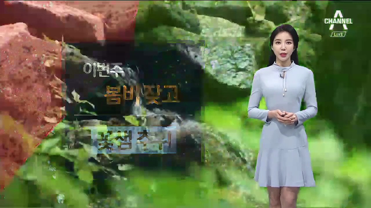 [날씨]내일 수도권 미세먼지 ‘나쁨’…이번 주 잦은 비
