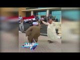صدى البلد |  المصريون بقطر يرقصون على الطبل أمام لجنة التصويت
