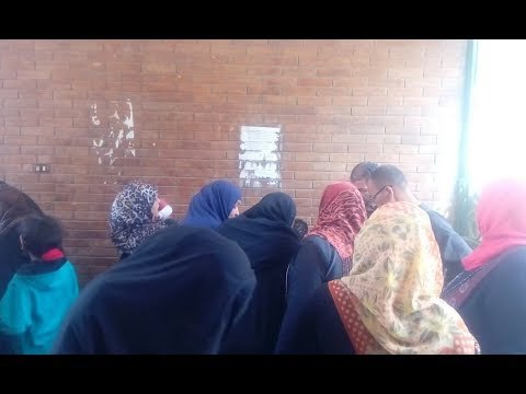 صدى البلد | اقبال كثيف من السيدات علي لجان القناطر