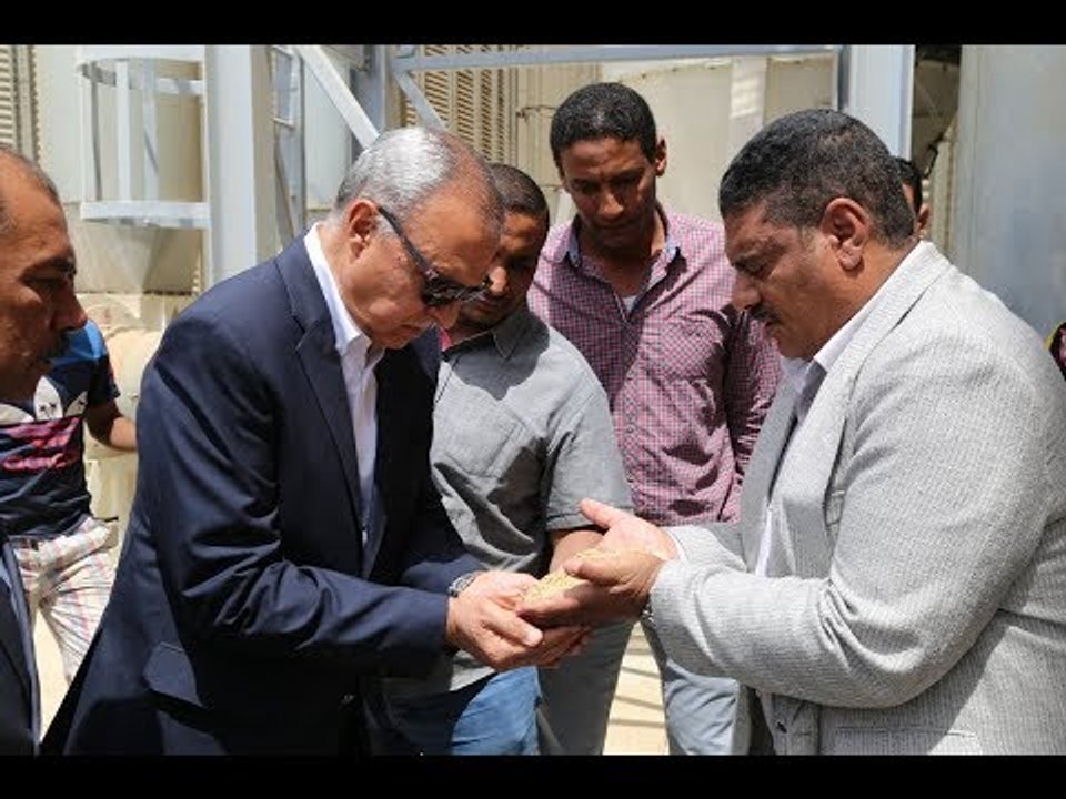 صدى البلد |محافظ قنا يشهد بدء موسم توريد القمح...