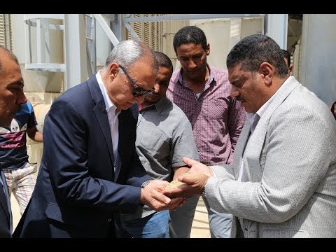 صدى البلد |محافظ قنا يشهد بدء موسم توريد القمح بصوامع الترامسة والمراشدة