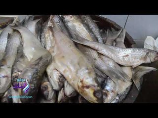 صدى البلد |  أقدم فسخانى بمصر"...ملوك الملوحة من ٩٠ سنة ...وأسعارنا "حكاية "