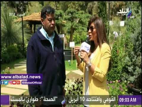 صدى البلد | عبد المنعم : معرض زهور الربيع يضم أفضل أنواع الأزهار ومستلزمات الزراعة