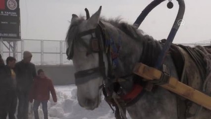 Atlı Kızak Türkiye Şampiyonası Sona Erdi