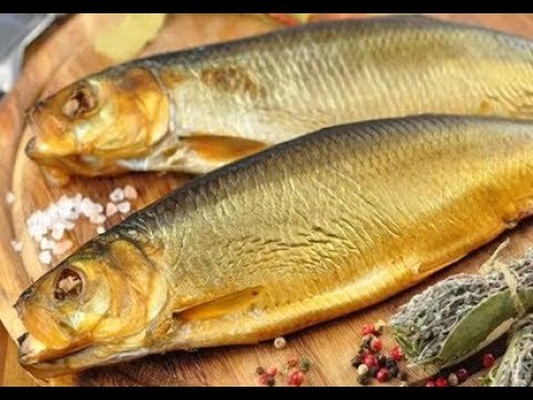 صدى البلد | ننشر أسعار وطرق تصنيع الرنجة والفسيخ والملوحة قبل شم النسيم