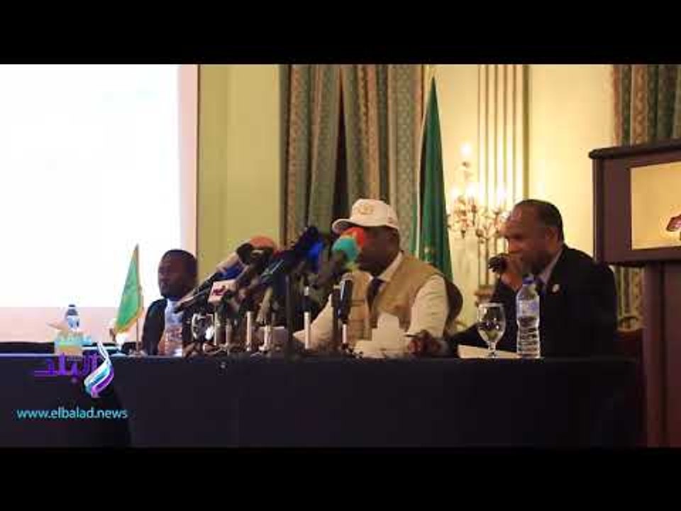 صدى البلد |  بعثة الاتحاد الإفريقي: انتخابات الرئاسة المصرية "نزيهة"