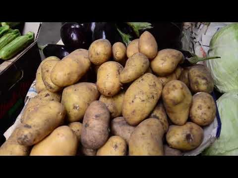 صدى البلد | أسعار الخضراوات واللحوم والأسماك بالأسواق اليوم