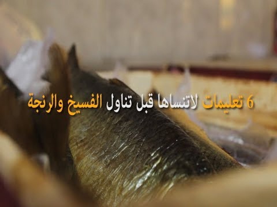 صدى البلد | 6 تعليمات لاتنساها قبل تناول الفسيخ والرنجة