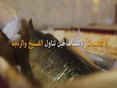 صدى البلد | 6 تعليمات لاتنساها قبل تناول الفسيخ والرنجة