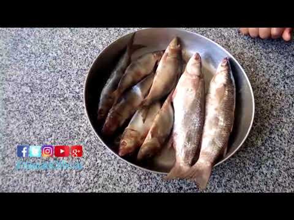 صدى البلد | استمرار إقبال المواطنين على محلات الغربية لشراء الفسيخ والسردين