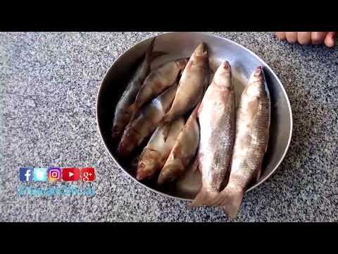 صدى البلد | استمرار إقبال المواطنين على محلات الغربية لشراء الفسيخ والسردين