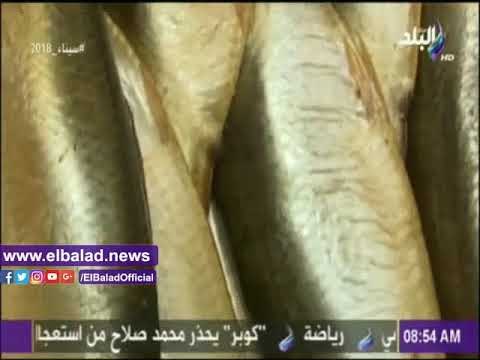 صدى البلد |شاهد.. «صباح البلد» في جولة داخل أحد أشهر محلات بيع الفسيخ بالظاهر