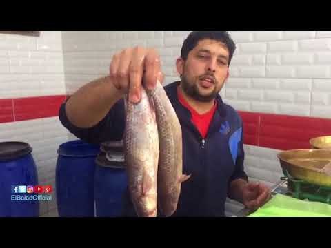 صدى البلد | «بيلا» .. هنا قلعة صناعة الفسيخ في كفر الشيخ.. الأسعار تبدأ من 70 إلى 100 جنيه للكيلو