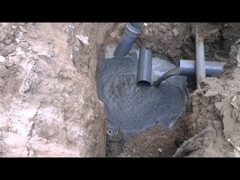 صدى البلد | ري 800 فدان قمح بمياه الصرف الصحي في كفر الشيخ