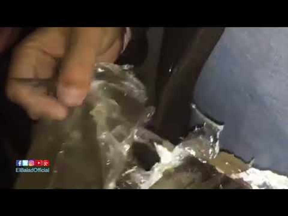 صدى البلد | إحباط إغراق السويس بـ 517 طربة حشيش...
