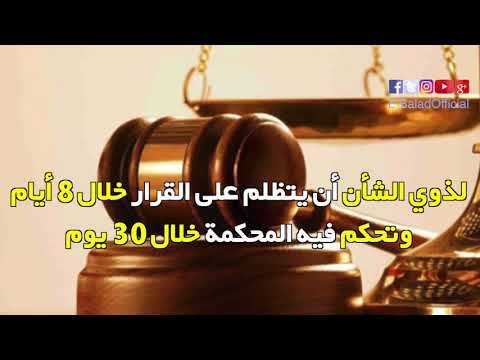 صدى البلد | قانون التحفظ على أموال الإخوان بعد الموافقة عليه