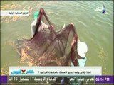 كلام في فلوس - أسباب تكرار وقف تصدير الأسماك والحاصلات الزراعية المصرية للخارج