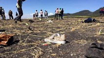 'No survivors' in Ethiopian Airlines crash, CEO confirms