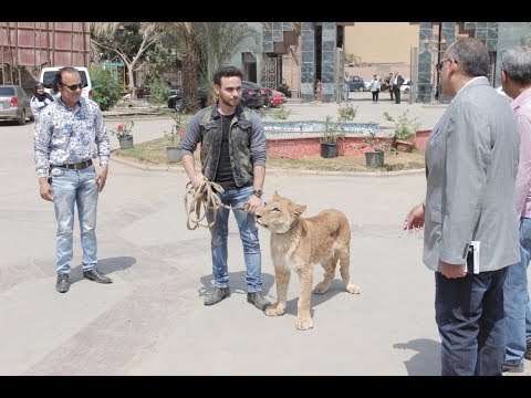 صدى البلد | أكاديمية الفنون تستعين بـ أسد لافتتاح قاعة ثروت عكاشة