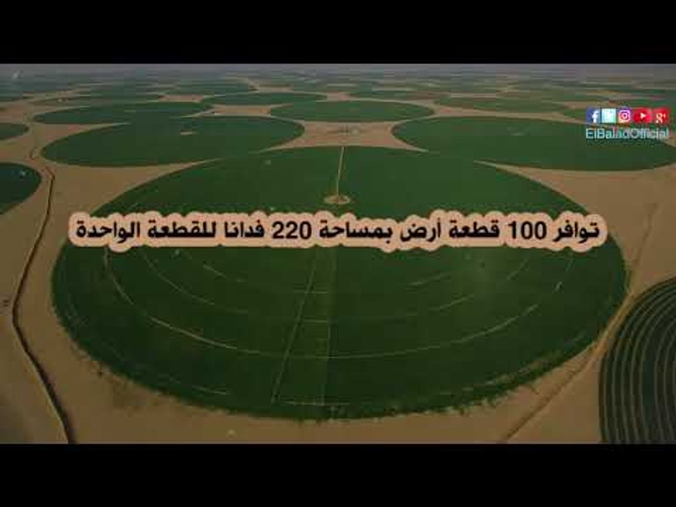 صدى البلد | طرح 22 ألف فدان بـ «المغرة» لصغار المزارعين «تعرف على الشروط»