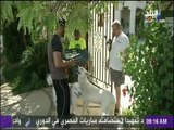 صباح البلد - لأول مرة فى مصر.. مطعم لتقديم الوجبات السريعة للكلاب