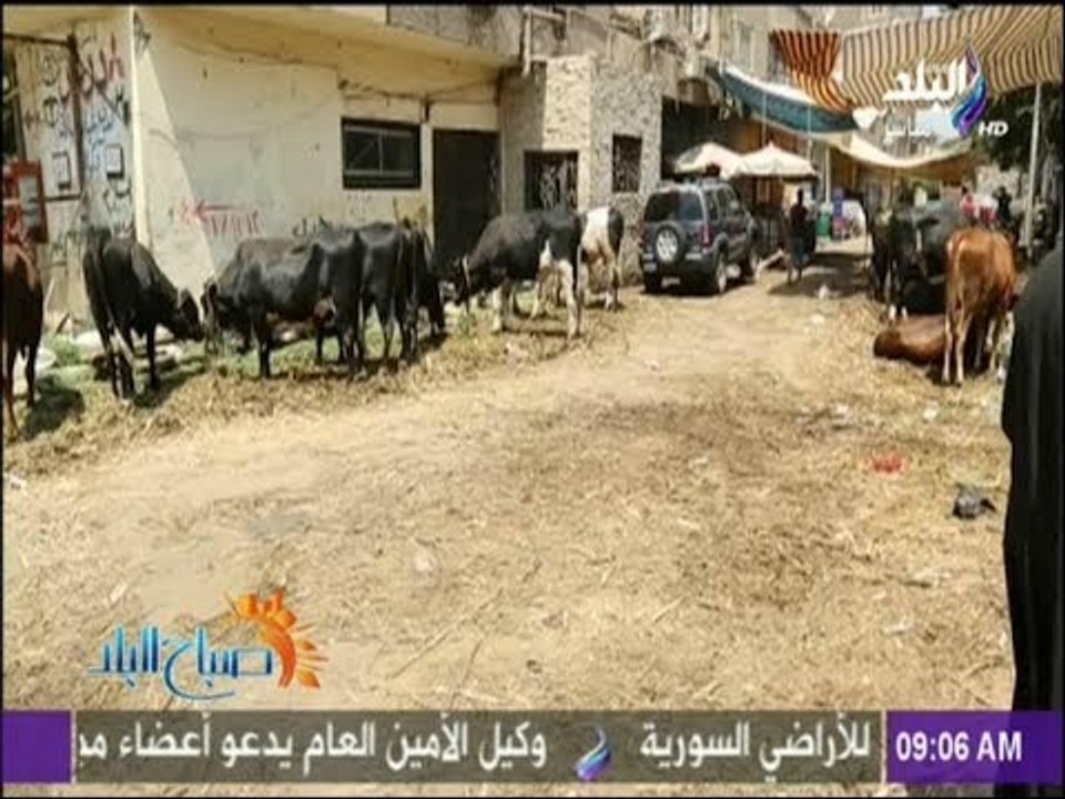 صباح البلد - الحكومة ترفع حالة الطوارئ استعدادا لعيد الأضحى المبارك