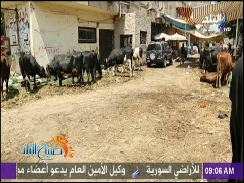 صباح البلد - الحكومة ترفع حالة الطوارئ استعدادا لعيد الأضحى المبارك