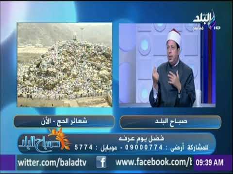 صباح البلد - تعرف على شروط الأضحية السليمة