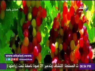 Download Video: صدى البلد | مصطفي بكري يعرض لحظة تسليم أبو العينين جائزة«أفضل صانع في إفريقيا»