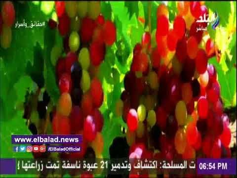 صدى البلد | مصطفي بكري يعرض لحظة تسليم أبو العينين جائزة«أفضل صانع في إفريقيا»