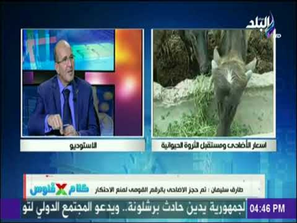 رئيس قطاع الثروة الحيوانية : مشروع "البتلو" نهض...