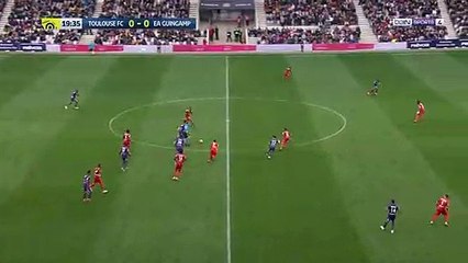 Toulouse 1-0 Guingamp - les Buts - 10.03.2019